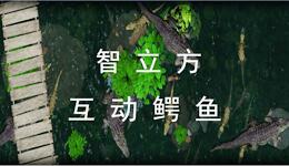 地面鳄鱼强势来袭，智立方实力刷屏！